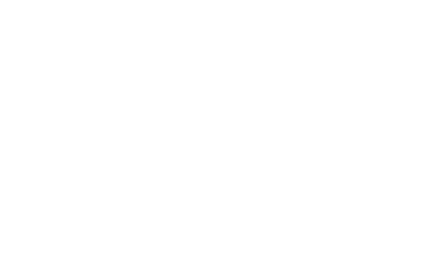 National Fellowship of Child Care Executives