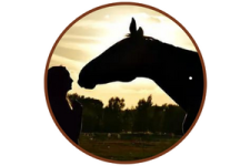 Logo for Quakerdale Family Services/Wolfe Ranch Logo for Quakerdale Family Services/Wolfe Ranch